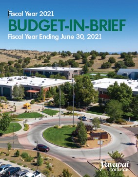 budget-2021-cover.jpg