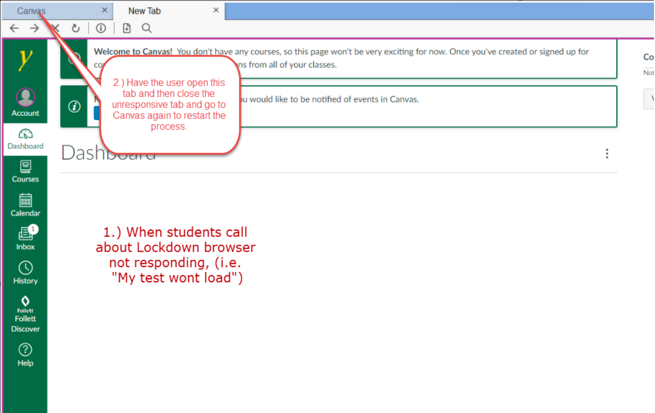 screenshot of example of white screen in lockdown browser
