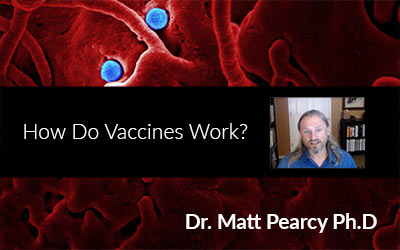 Dr Matt Pearcy