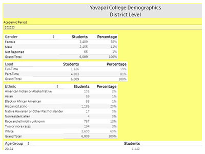 Demographics by term