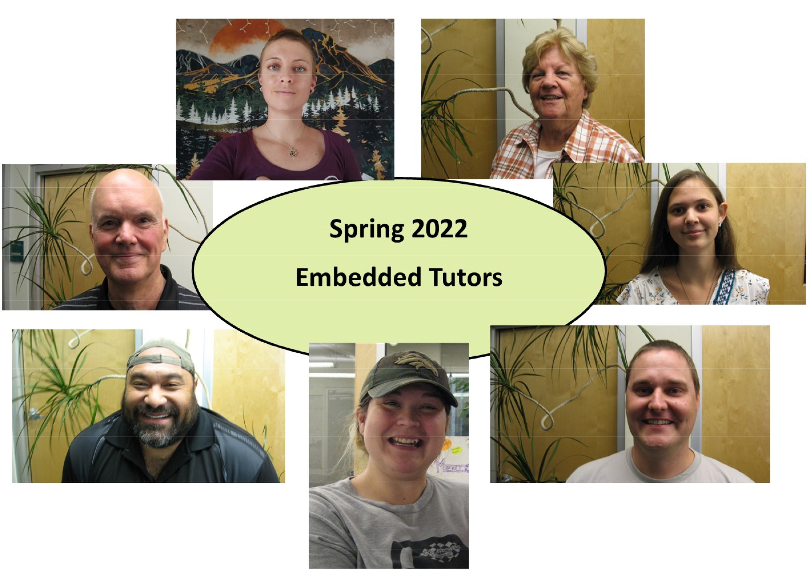 Embedded tutors image