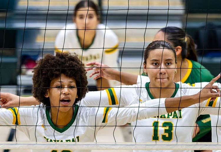 Volleyball team