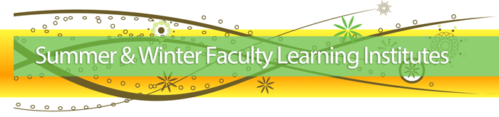 Summer and Winter Faculty Learning Institutes